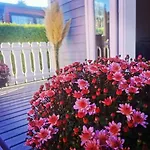 Tiny House 营地