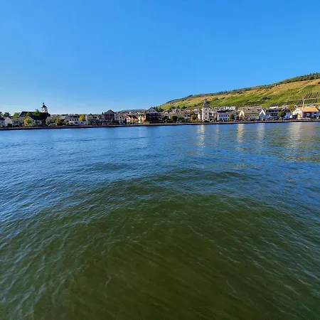 Tiny House Mehring (Rhineland-Palatinate)