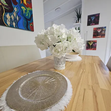 Camping Tiny House *