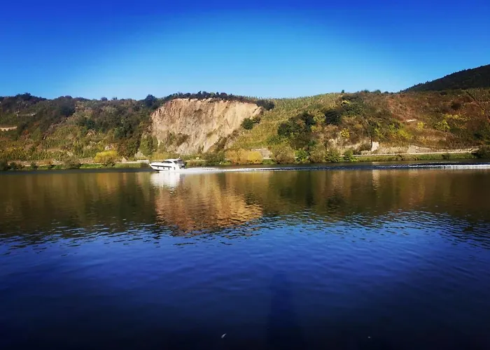 Tiny House Mehring (Rhineland-Palatinate)