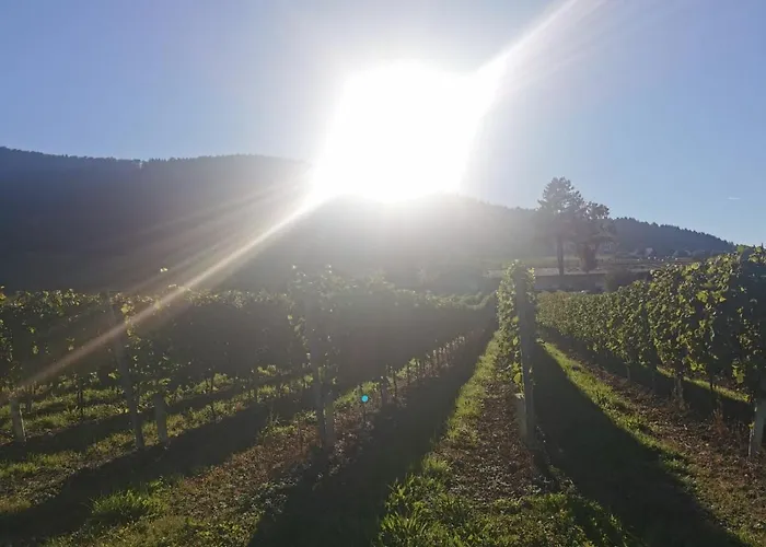 Camping Tiny House *