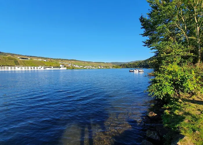 Camping Tiny House Mehring (Rhineland-Palatinate)