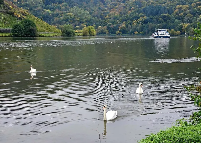 Camping Tiny House Mehring (Rhineland-Palatinate)