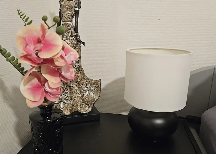 Tiny House Camping *